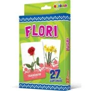 27 de cartonase. Flori