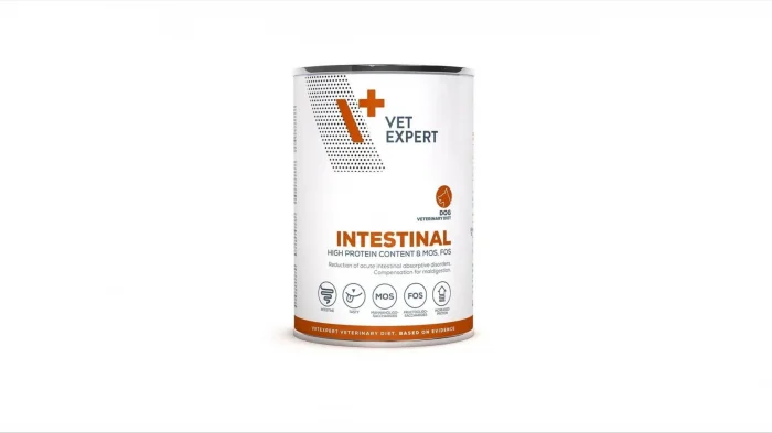 4T, Dieta hrana umeda Gastro Intestinal dog, 400 g