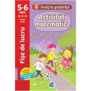Activitati matematice 5-6 ani (grupa mare). Invat la gradinita