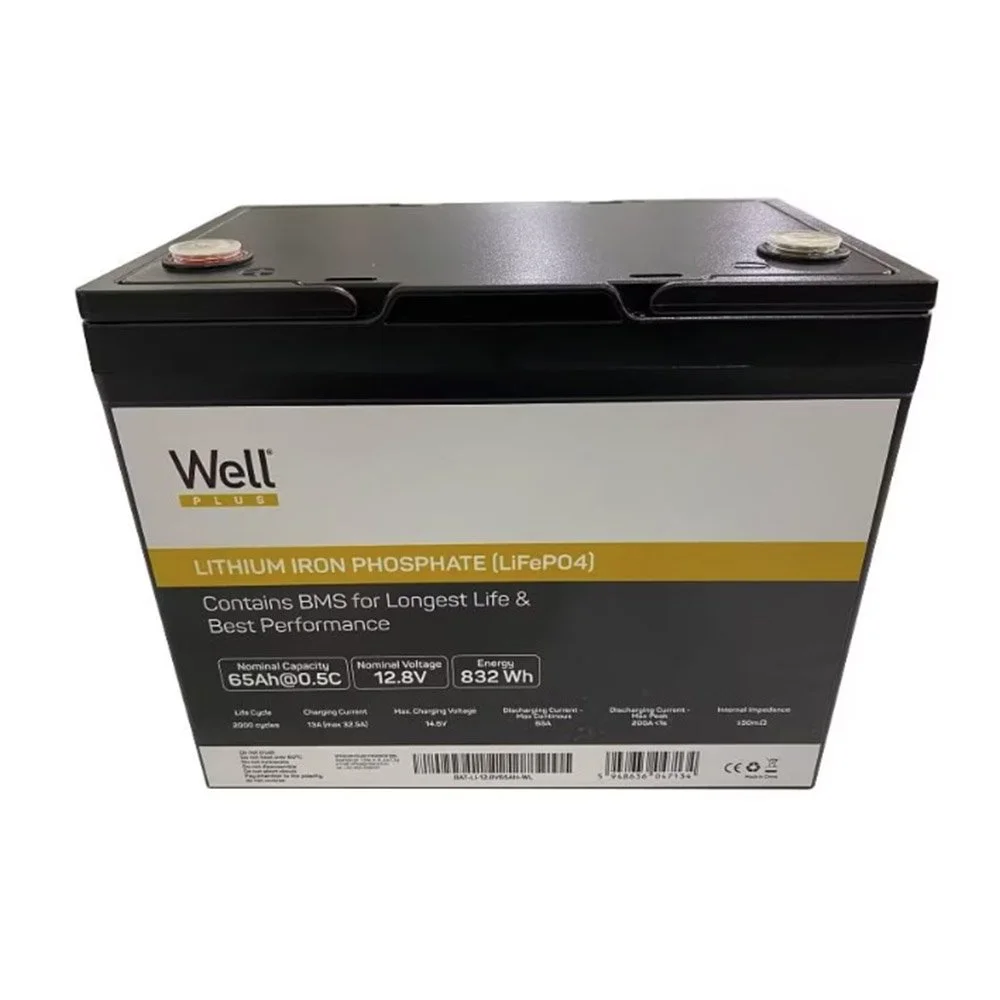 Acumulator LiFePo4 Well BAT-LI-12.8V65AH-WL, 12.8 V, 65 Ah, 2000 ciclurim M8