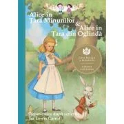 Alice în Tara Minunilor &amp; Alice in Tara din Oglinda. Repovestire dupa scrierile lui Lewis Carroll - Eva Mason