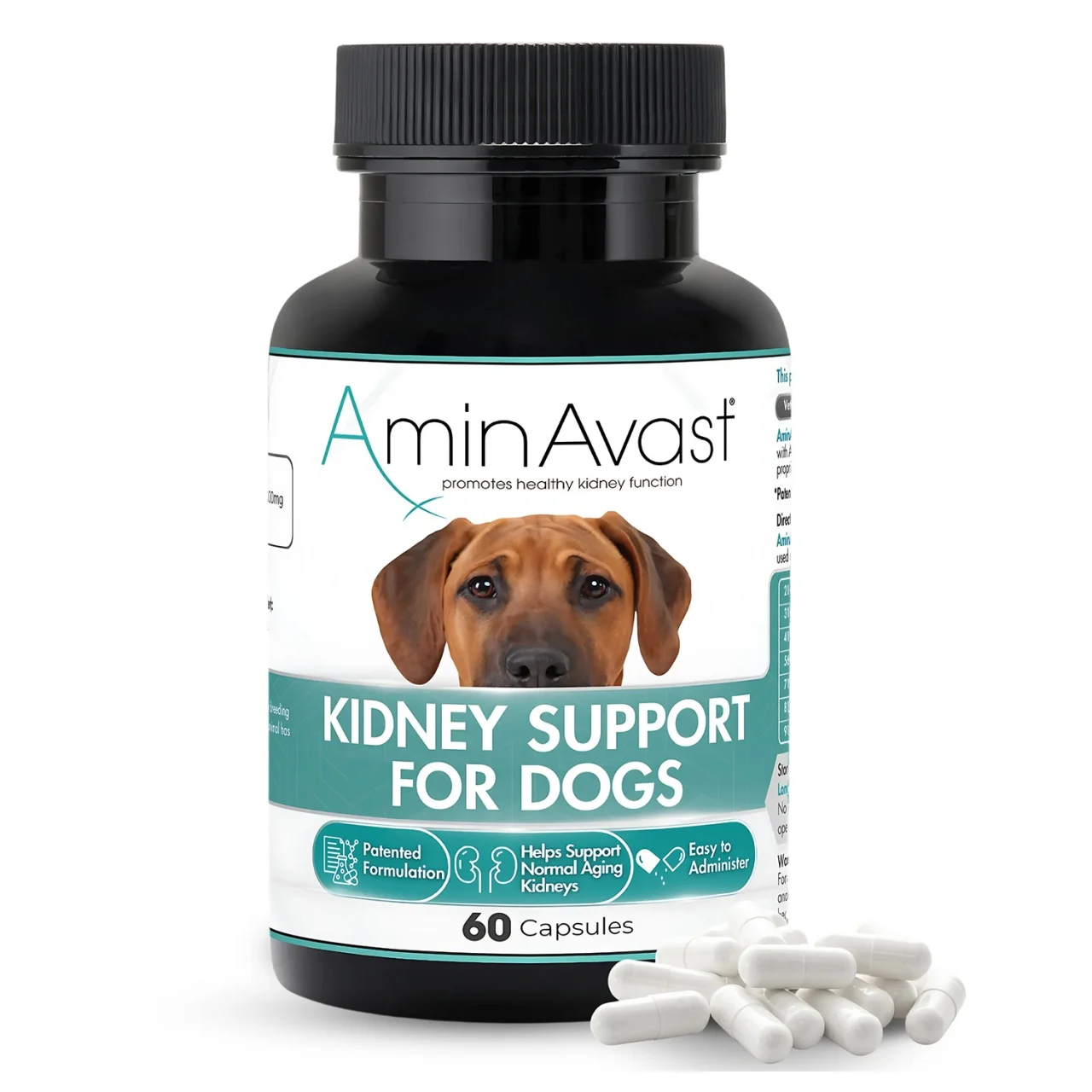 AminAvast Caine, 60 capsule