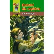 Amintiri din copilarie - Ion Creanga