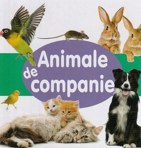 Animale de companie - Board book - Flamingo