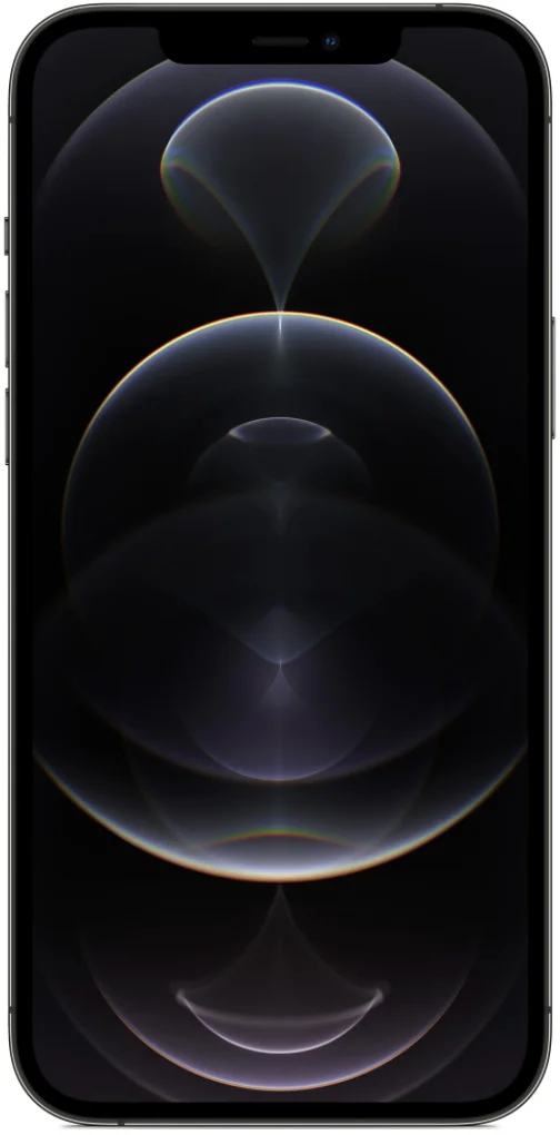 Apple iPhone 12 Pro Max 256 GB Graphite Bun