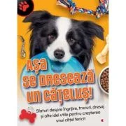 Asa se dreseaza un catelus!