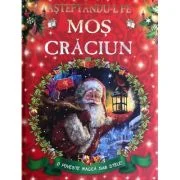 Asteptandu-l pe Mos Craciun. O poveste magica sub stele - MOON