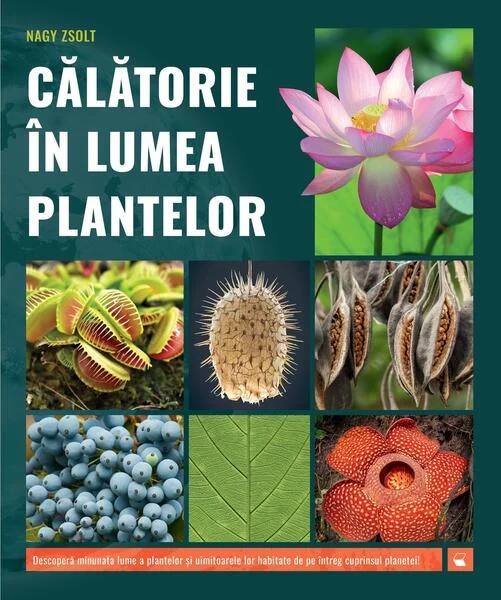 Călătorie în lumea plantelor - Hardcover - Kreativ
