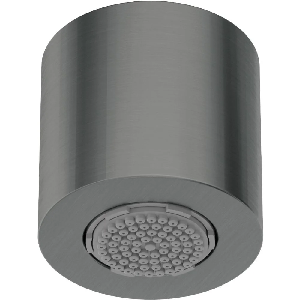 Cap de dus cu o functie, culoare titan, Deante Silia