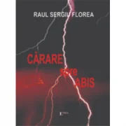 Carare spre abis - Raul Sergiu Florea