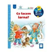 Ce facem iarna? - Andrea Erne