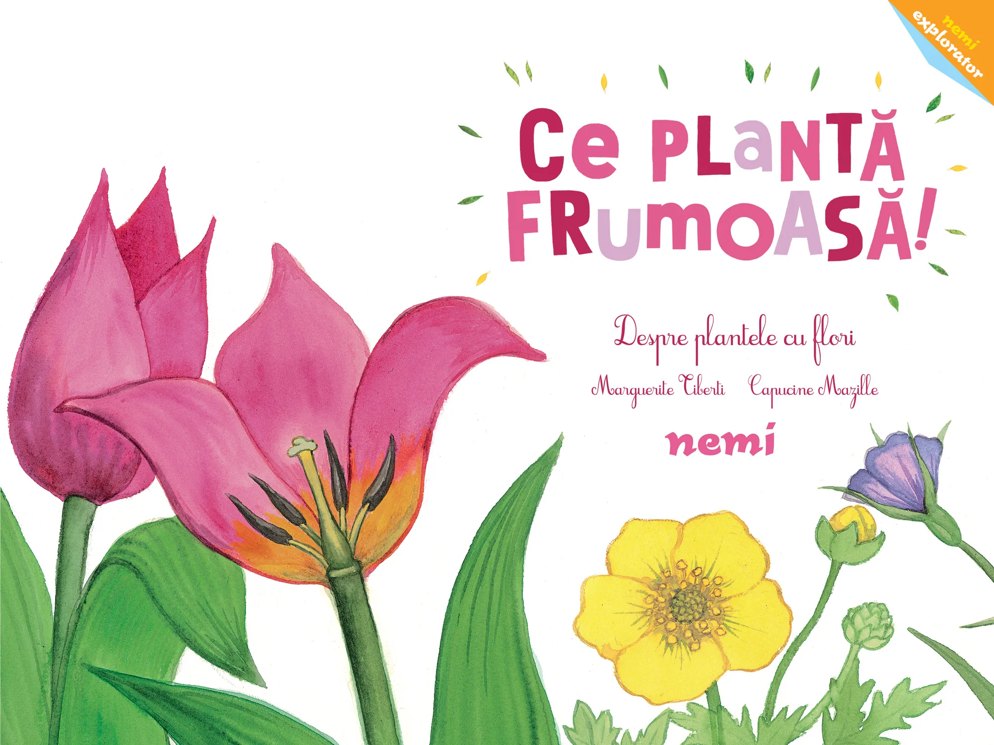 Ce plantă frumoasă! - Despre plantele cu flori