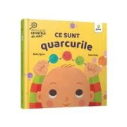 Ce sunt quarcurile - Ruth Spiro, Irene Chan