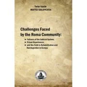 Challenges Faced by the Roma Community - Tudor Maftei Golopentia