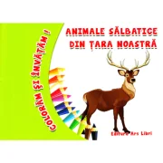 Coloram si invatam! Animale salbatice din tara noastra - Adina Grigore