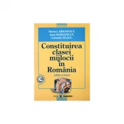 Constituirea clasei mijlocii in Romania. Editia II - Maria Larionescu, Ioan Marginean, Gabriela Neagu