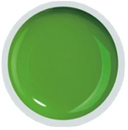 COVER COLOR GEL FSM 050 - CC-050 - Everin.ro