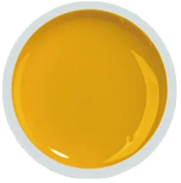 COVER COLOR GEL FSM 051 - CC-051 - Everin.ro