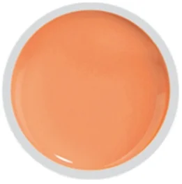 COVER COLOR GEL FSM 069 - CC-069 - Everin.ro