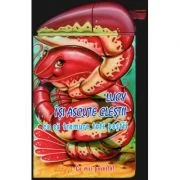 Crant ce mai poveste Lucy – Isi ascute clestii