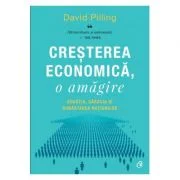 Cresterea economica, o amagire. Bogatia, saracia si bunastarea natiunilor - David Pilling