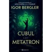 Cubul lui Metatron. Continuarea bestsellerului Apocalipsa dupa Charles - Igor Bergler