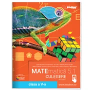 Culegere de matematica. Clasa a 5-a. Volumul 1 - Ion Cicu