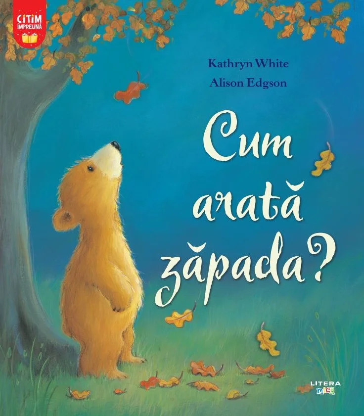 Cum arata zapada?