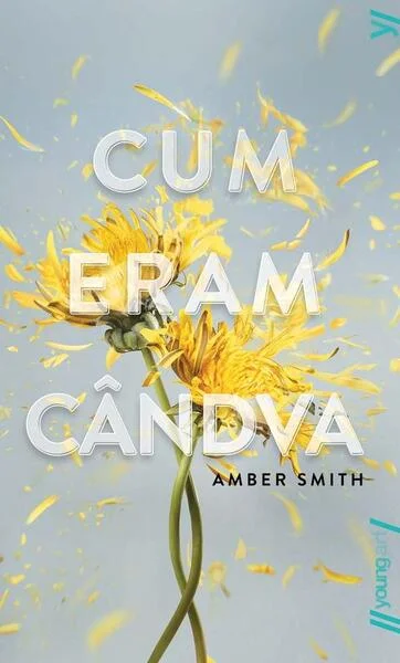 Cum eram cândva - PB - Paperback brosat - Amber Smith - Young Art