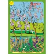 Cum este toamna? Peisaje, fenomene ale naturii - Lavinia Lala