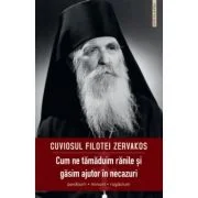 Cum ne tamaduim ranile si gasim ajutor in necazuri - Filotei Zervakos
