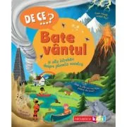 DE CE…? Bate vantul si alte intrebari despre planeta noastra - Anita Ganeri