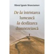 De la intristarea lumeasca la desfatarea dumnezeiasca - Sf. Ignatie Briancianinov