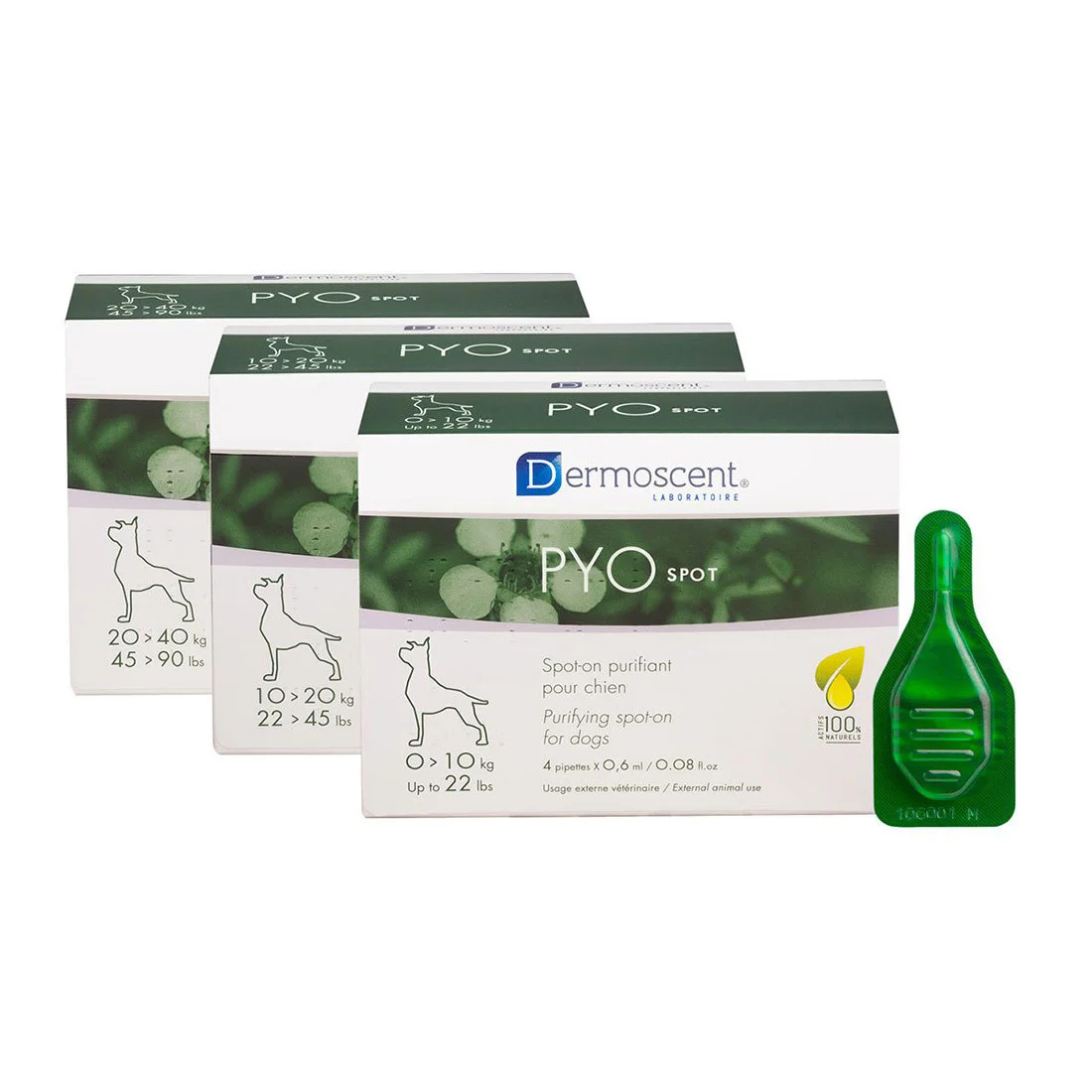 Dermoscent Pyo Spot Caine, 4 pipete