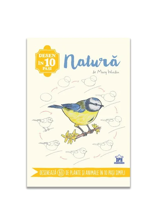 Desen in 10 pasi. Natura