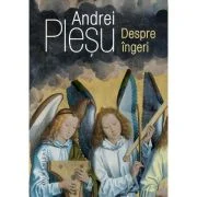 Despre ingeri - Andrei Plesu