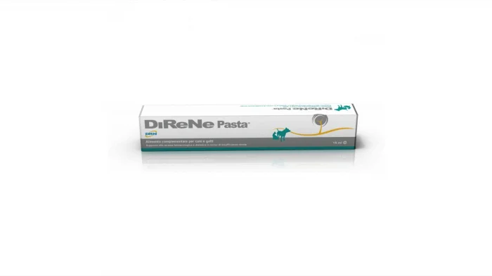 DIRENE Pasta, 15 ml