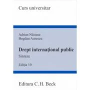 Drept international public - Adrian Nastase, Bogdan Aurescu