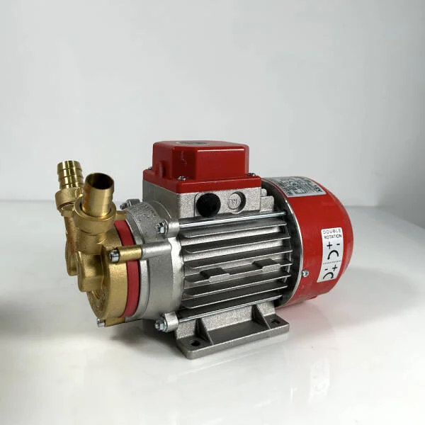 Electropompa Marina 25, 24V, Rover Pompe, pentru transvazare vin si lichide alimentare, se poate conecta la baterie auto