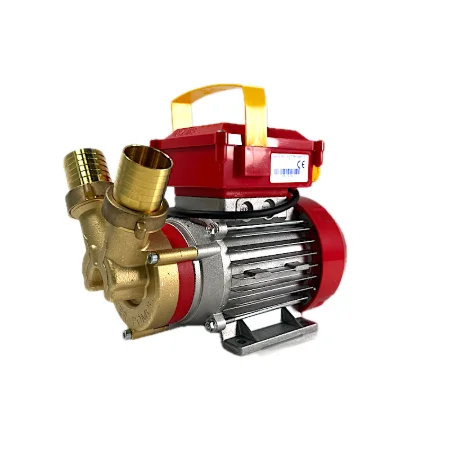 Electropompa Rover 35 pentru transvazare vin si lichide alimentare