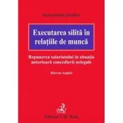Executarea silita in relatiile de munca. Repunerea salariatului in situatia anterioara concedierii nelegale - Razvan Anghel