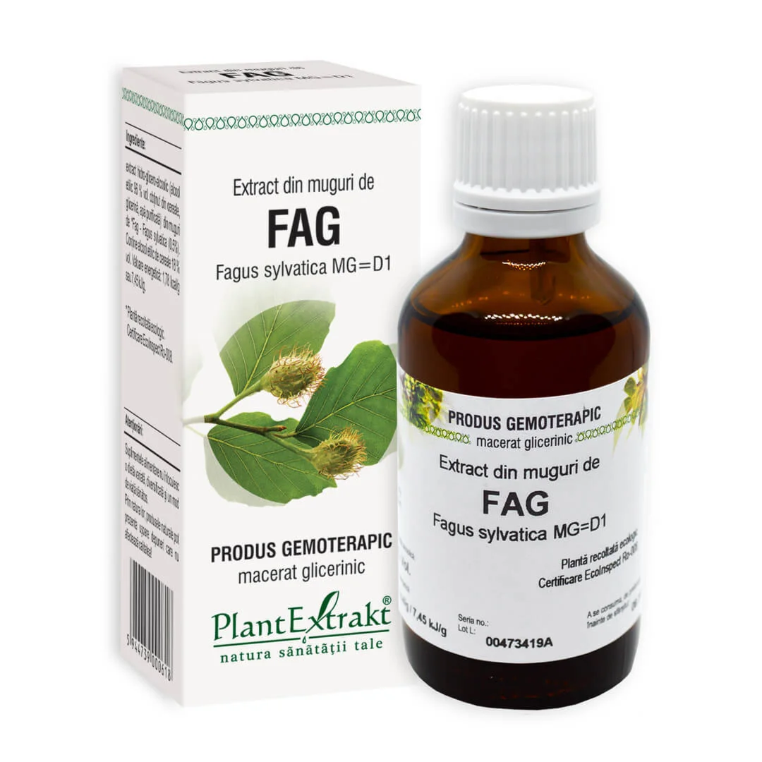 Extract din muguri de Fag, 50 ml, Plant Extrakt