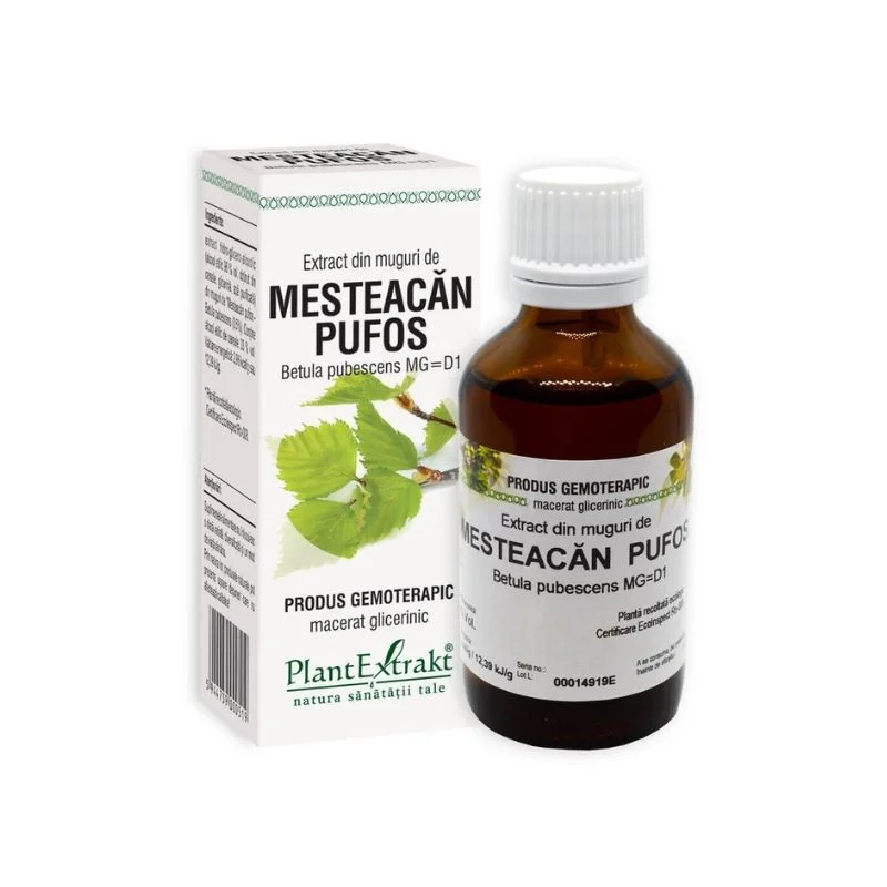 Extract din muguri de Mesteacan Pufos, 50 ml, Plant Extrakt