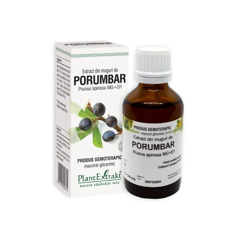 Extract din muguri de Porumbar, 50 ml, Plant Extrakt