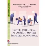 Factori psihosociali ai sanatatii mintale in mediul ocupational. Studii aplicative asupra echilibrului profesional-personal si a dinamicii relatiilor