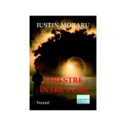 Ferestre intre lumi - Iustin Moraru
