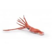 Figurina Calamar gigant, Papo