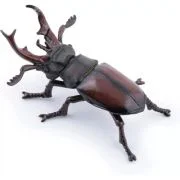 Figurina radasca, Papo