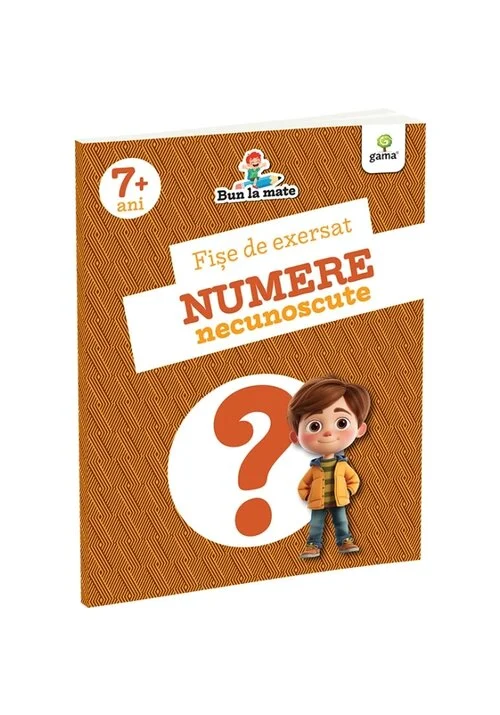 Fise de exersat NUMERE NECUNOSCUTE