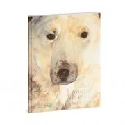 Fiul tinutului de gheata - Jackie Morris